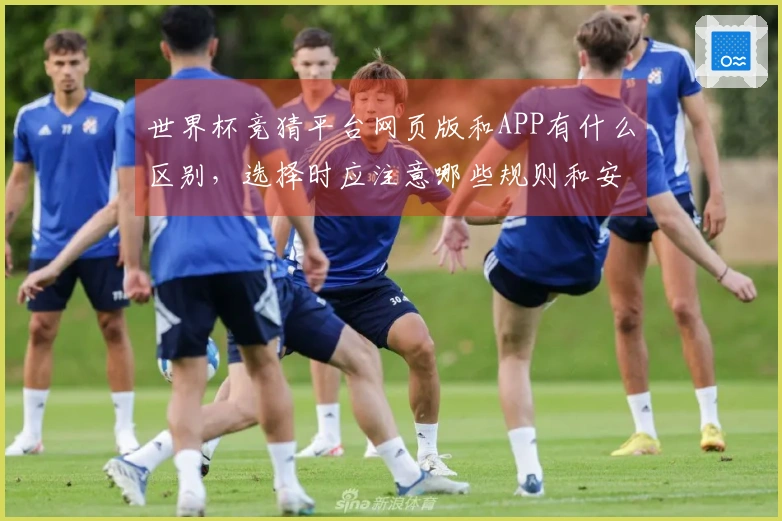 世界杯竞猜平台网页版和APP有什么区别，选择时应注意哪些规则和安全性