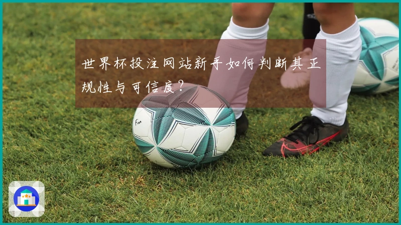世界杯投注网站新手如何判断其正规性与可信度？