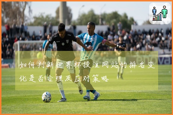 如何判断世界杯投注网站的排名变化是否合理及应对策略