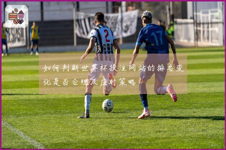 如何判断世界杯投注网站的排名变化是否合理及应对策略